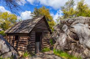 Cabin in Columbia-2477.jpg Cabin in Columbia-2477.jpg
